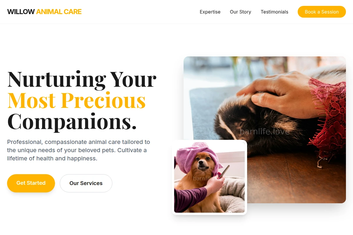 Willow Animal Care