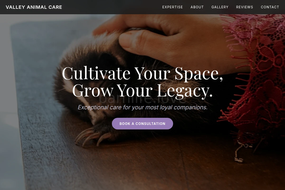 Valley Animal Care