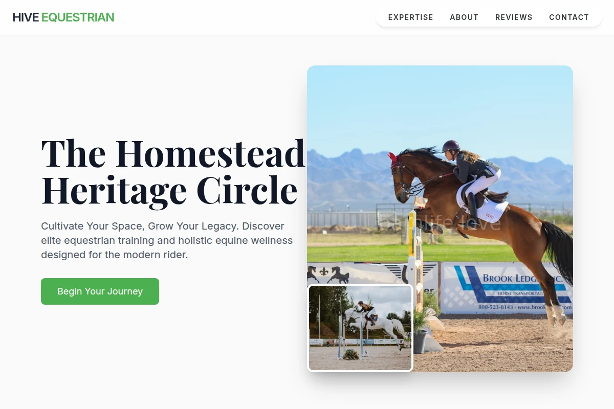 Hive Equestrian