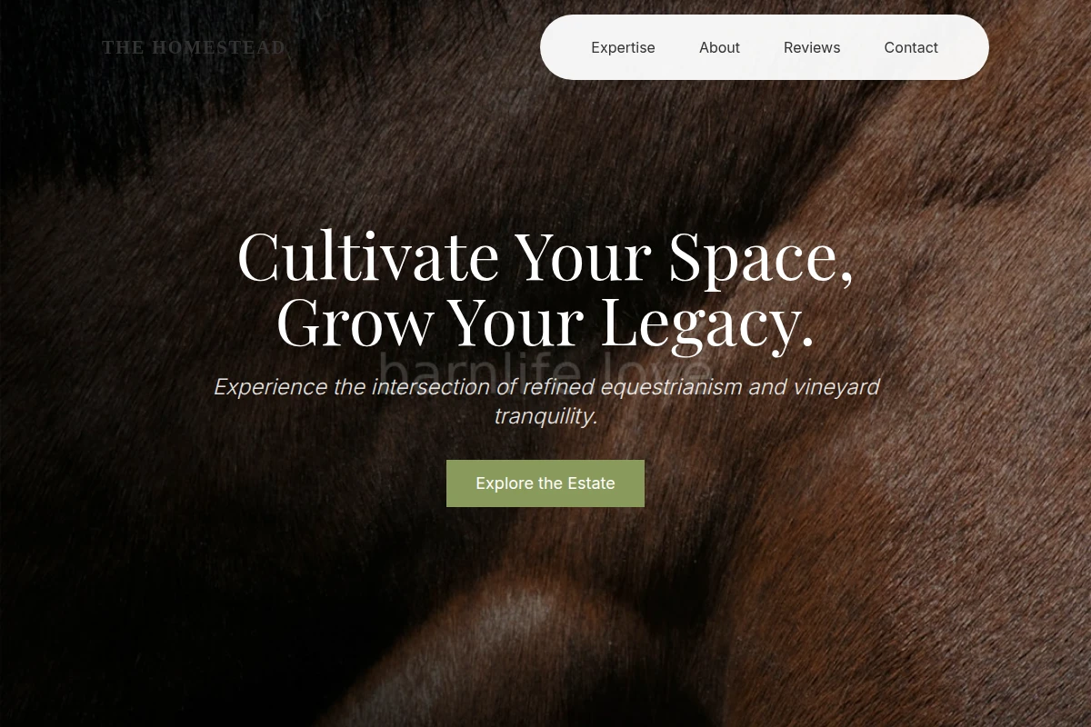 Vineyard Equestrian